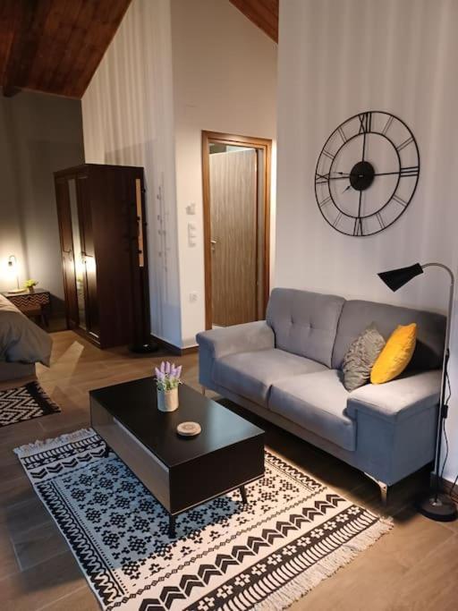 Luxury Apartment With Balcony Mytilíni Dış mekan fotoğraf