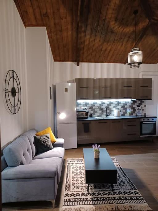 Luxury Apartment With Balcony Mytilíni Dış mekan fotoğraf