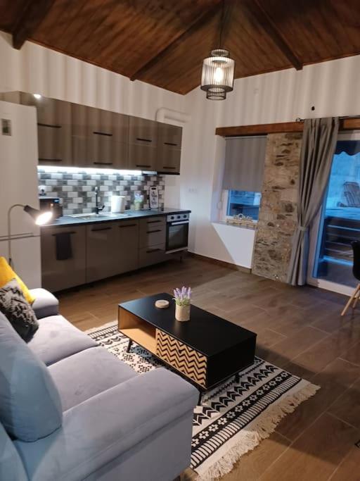 Luxury Apartment With Balcony Mytilíni Dış mekan fotoğraf