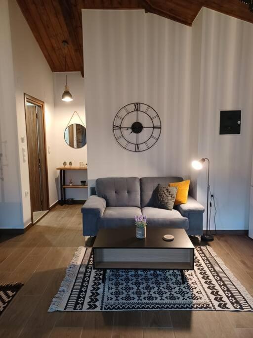 Luxury Apartment With Balcony Mytilíni Dış mekan fotoğraf